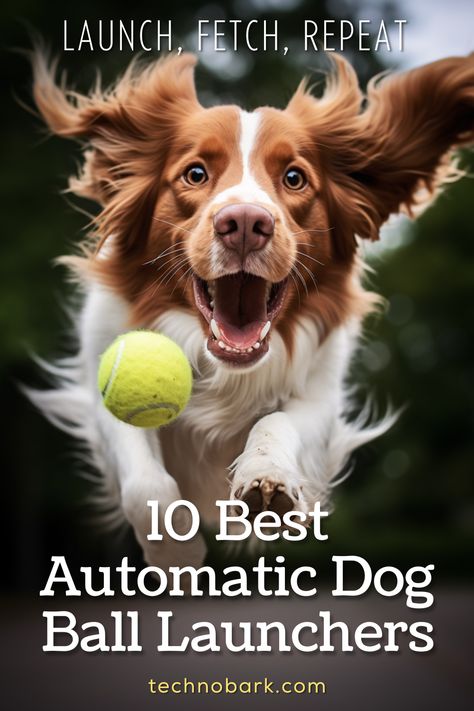 Take playtime to the next level with the 10 Best Automatic Dog Ball Launchers! Treat your pup to endless fun and exercise as they chase and fetch without wearing out your arm. These innovative gadgets are a must for active dogs and their devoted owners. 🐾🎾 #AutomaticBallLaunchers #DogToys #PlayfulPups Dog Fitness, Dog Ball Launcher, Hyper Dog, Active Dogs, Dog Gadgets, Dog Training Books, Ball Launcher, Dog Toy Ball, Behavior Modification