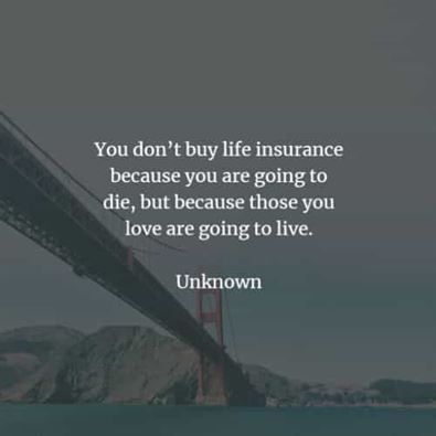 Progress Quotes, Life Insurance Facts, Insurance Car, Competitive Quotes, Car Insurance Tips, Compare Quotes, Insurance Marketing, Life Insurance Quotes, Cheap Car Insurance