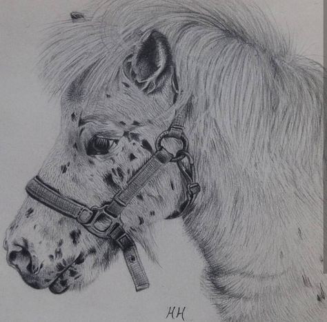 "Bubbles" Artist: Hannah Hunt, Graphite pencil drawing. Shetland Pony. Follow my Instagram account: @hannahhunt_art Shetland Pony Drawing, Drawing Horses, Name Tattoos For Moms, Horses Art, Shetland Pony, Pen Art Drawings, Sketchbook Ideas, Pony Drawing, Graphite Pencils