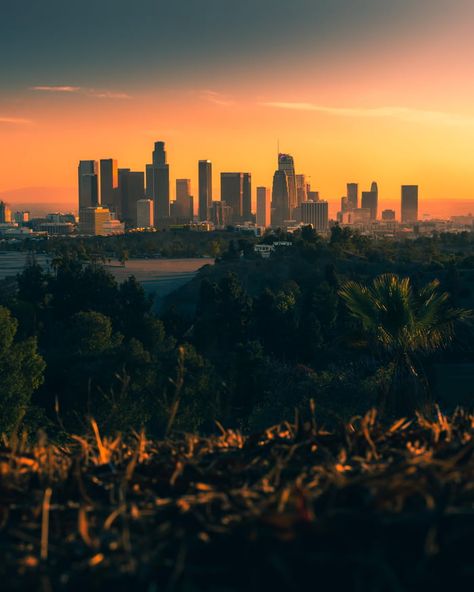 That sunset smoothed together like that Los Angeles At Night, Los Angeles Sunset, Runyon Canyon, Hello Photo, Hotel Los Angeles, Standard Hotel, Ted Bundy, Living Modern, Gorgeous Sunset