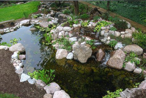 Crystal Clear Water in a Renovated Backyard Pond.  #Aquascape Pond Building, Build A Pond, Affordable Backyard Ideas, Building A Pond, Water Gardens Pond, Outdoor Water Features, Outdoor Ponds, Fountains Backyard, Pond Ideas