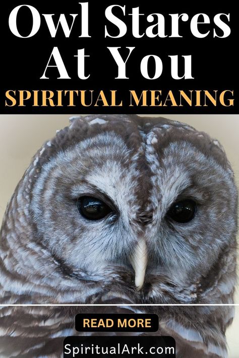 at the top of this post is Sanity Quotes, Owl Symbolism, Owl Quotes, Spiritual Psychology, Cultural Beliefs, Moonlit Sky, Animal Symbolism, Staring At You, Spiritual Truth