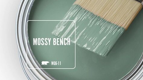 Mossy Bench MQ6-11 | Behr Paint Colors Behr Colors, Behr Paint Colors, Robin Egg Blue, Behr Paint, Blue Paint Colors, Paint Sheen, Green Paint Colors, Painted Floors, Paint Colors For Home