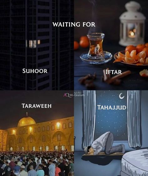 Dawat E Islami, Best Ramadan Quotes, Islami Quote, Ramadan Kareem Decoration, Quote Pictures, Friend Birthday Quotes, Mecca Islam, Month Of Ramadan, Ramadan Day