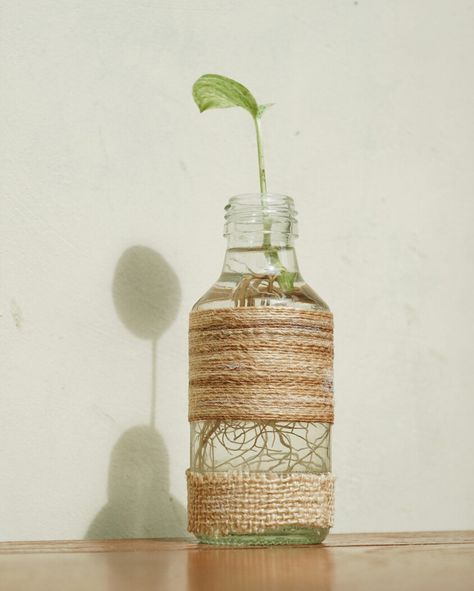 #bottle #vase #aesthetic Bottles Decoration, Interior Design, Home Decor, Design, Home Décor