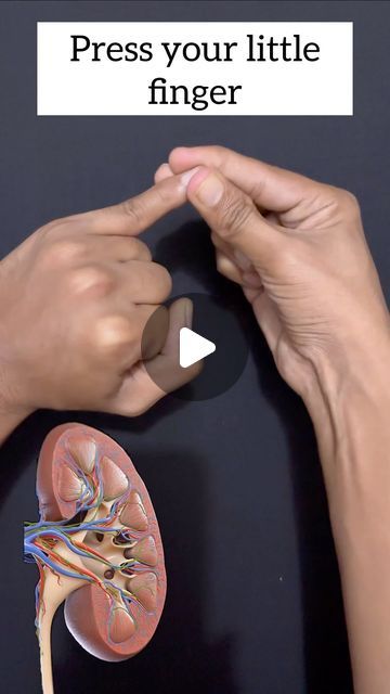 Hand Acupressure Points, Pressure Points For Indigestion, Mudra For Kidney Health, Accupressure Point For Dizziness, Accupressure Point For Kidney, Kidney Cleanse Natural, Accupressure Point For High Bp, Healing Reflexology, Therapy Techniques