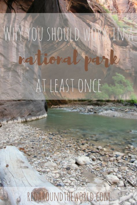 Why you should work in a national park at least once.  It's such an awesome experience! Narrows Zion National Park, The Narrows Zion, Hiking The Narrows, The Narrows, Zion National Park Utah, Summer Hike, Travel Bucket List Usa, Slot Canyon, National Parks Usa