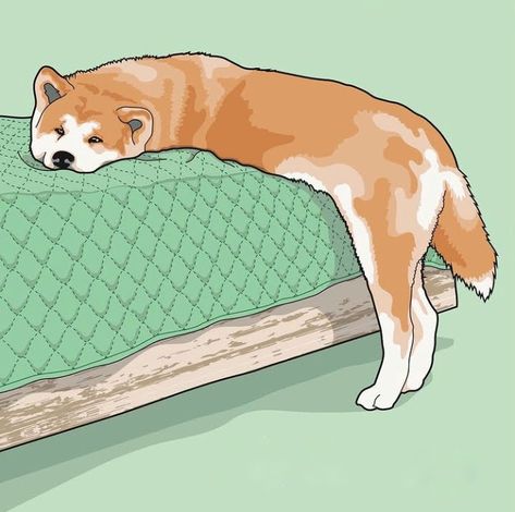 Akita Inu, Dog Art, Pets Cats, Animal Crossing, Animal Art, Cute Animals, Fan Art, Drawings, Dogs