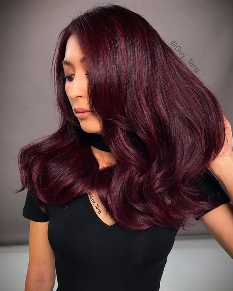 24.6k Likes, 139 Comments - Guy Tang® (@guy_tang) on Instagram: “Who is excited?! ‍♂️New Midnight Rose series in @guytang_mydentity color with new video tutorial…” Dark Red Hair, Dark Red, Red Hair, Cherry, Hair Color, Red, Hair, Color, Hair Colour