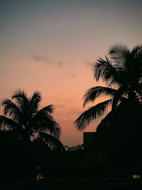 Coconut Tree Aesthetic, Clouds Reference, Dark Fairycore Aesthetic, Mumbai Aesthetic, Au Pics, Pastel Pink Wallpaper, Dark Fairycore, Sky Gif, Dark Artifices