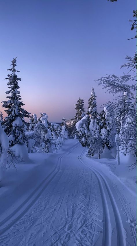 Ski Wallpaper Aesthetic, Plain Winter Wallpaper, Lapland Wallpaper, Winter Aethstetic, Winter Asthetics Photos, Skiing Aesthetic Wallpaper, Wallpaper Aesthetic Snow, Winter Vibes Wallpaper, Aesthetic Snow Wallpaper