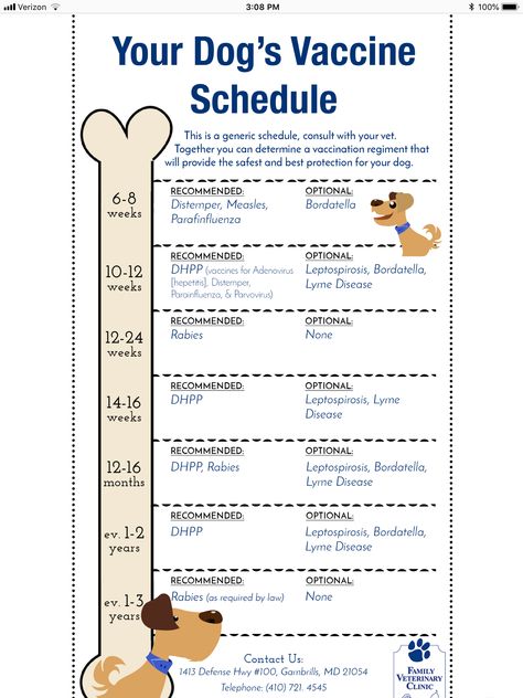 Puppy Shot Schedule, Puppy Schedule, New Puppy Checklist, Puppy Checklist, Dog Shots, Puppy Time, Puppy Mom, Puppies Tips, Puppy Training Tips