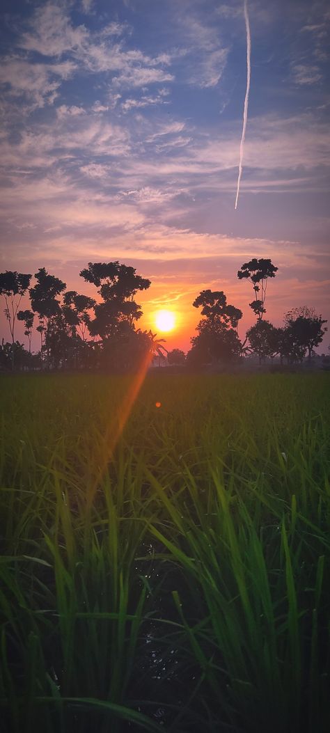 Sunset in village Sunset Photography People, Sunset 4k, Sunset Village, Nature Photography Trees, Chocolate Pictures, Village Photos, Hd Wallpaper 4k, Photography People, Village Photography