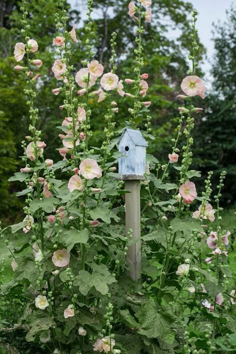 Cottage Garden Design, Have Inspiration, Garden Inspo, The Secret Garden, Country Gardening, Garden Cottage, Veggie Garden, Farm Gardens, Flower Farm