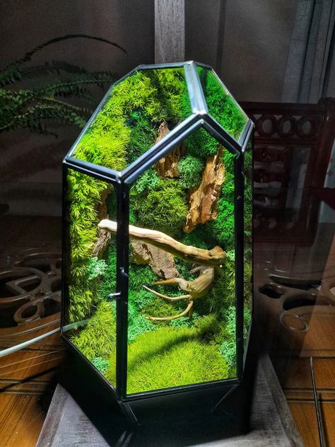 Indoor Ecosystem, Frog Tank, Indoor Water Garden, 3d Printing Art, Moss Garden, Vivarium, Ecosystem, Water Garden, Trees To Plant