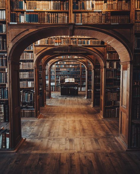 liberomicro:  utwo:    Library Görlitz Germany  ©... - Egyptology MA Studyblr/Personal | djeheuty-bros Dark Academia Library, Beautiful Library, Library Aesthetic, Dr Seuss, Dark Academia, Archaeology, Athens, Big Ben, Greece