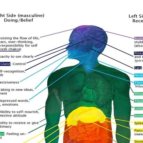 Gabriella Kovalenko on Instagram: "Save this psychosomatic (mind-body) reference to identify the root causes of the many different physical clues the body can present… Consider the body a map of consciousness intricately organized across a coordinate grid of energy meridians, chakras, and their corresponding physical regions. Emotions are manifestations of energetic movement inspired by fluctuations in consciousness and enveloped in sensation radiating from bodily centers. As such, the suppr Map Of Consciousness, Energy Meridians, Coordinate Grid, Manifestation Meditation, Spiritual Manifestation, Emotional Body, Body Pain, Body Reference, Negative Emotions