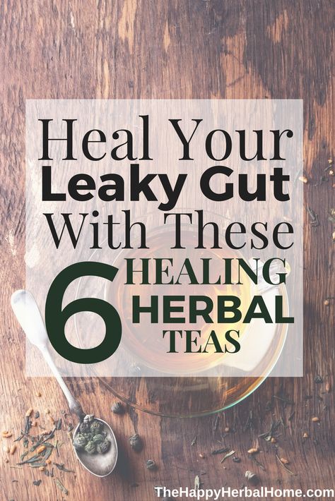 Gut Healing Herbal Teas - Herbs to Help Heal Leaky Gut Syndrome Marshmallow Root Benefits, Healing Tea Recipes, Heal Leaky Gut, Gut Health Diet, Gut Healing Recipes, Healing Tea, Healing Recipes, Herbal Teas Recipes, Health Tea