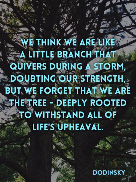 Quote 247: We think we are like a little branch that quivers during a storm, doubting our strength, but we forget that we are the tree - deeply rooted  to withstand all of life's upheaval. - Dodinsky Upheaval Quotes, 365 Quotes, Modern Words, Faith In Humanity Restored, Humanity Restored, Tarot Art, Self Compassion, A Storm, Faith In Humanity