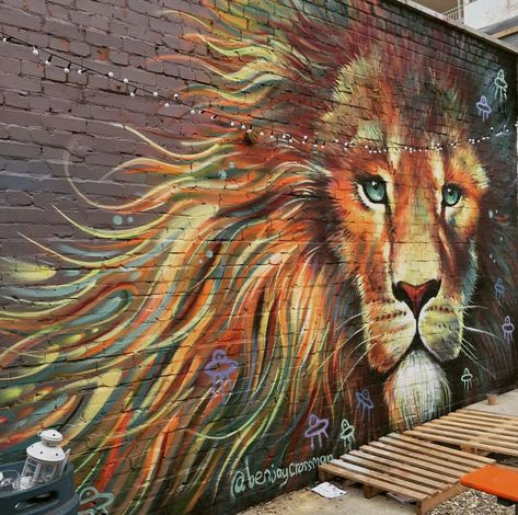 @benjaycrossman Lion Wall Mural, Lion Mural Wall Art, Wall Graffiti Ideas, Lion Graffiti, Lion Mural, Graffiti Ideas, Pavement Art, Wall Graffiti, Wall Street Art