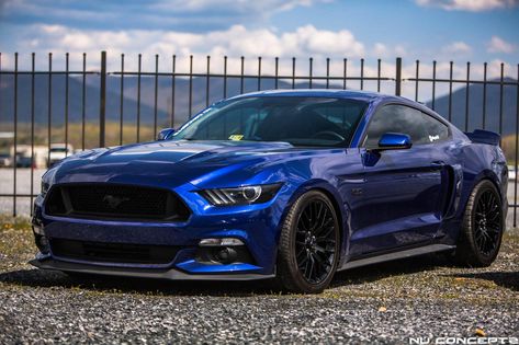 DEEP IMPACT BLUE S550 MUSTANG Thread - Page 119 - 2015+ S550 Mustang Forum (GT, GT350, GT500, Mach 1, Ecoboost) - Mustang6G.com 5.0 Mustang, 2022 Mustang Gt, Blue Mustang Gt, S550 Mustang Gt, Blue Ford Mustang, Mustang Gt 2015, Mustang Blue, Mustang S550, Mustang Gt Premium