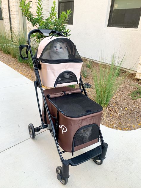 Pet Care Instructions, Cat Stroller, Pet Strollers, Pet Car Seat, Pet Stroller, Dog Area, Dog Stroller, Pet Car, Animal Room