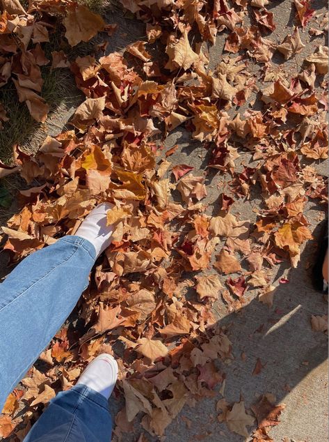 Autumn Running Aesthetic, Fall Walk Aesthetic, Walking In Fall Aesthetic, Running Autumn Aesthetic, Fall Leafs Aesthetic, Fall Aesthetic Leaves, Fall Yard Work, Aesthetic Leaves, Fall Sky