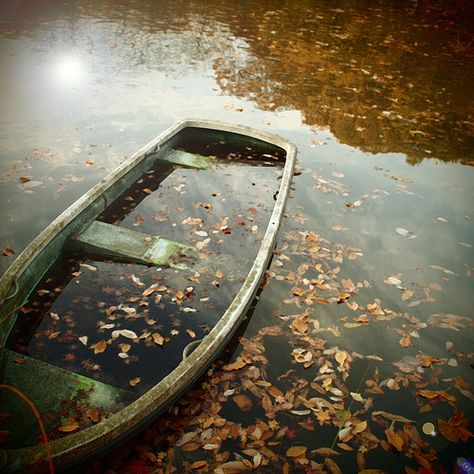 boat Autumn Green Aesthetic, Green Autumn Aesthetic, Autumn Aesthetic Green, Green Fall Aesthetic, Dragon Moodboard, October Rust, Cottage Autumn, Sunken Boats, Spotify Aesthetic