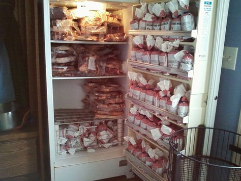 We had a small steer butchered, and came out with 400 pounds of beef!  It left a small space in the freeezer, just enough for some chicken and pork.  Only problem is that I keep running out of bread, as I can't keep an extra loaf in the freezer... Meat Freezer Organization, Meat Freezer, Homestead Pantry, Stocked Pantry, Cow Meat, Freezer Organization, Raw Meat, Frugal Family, Farm Lifestyle