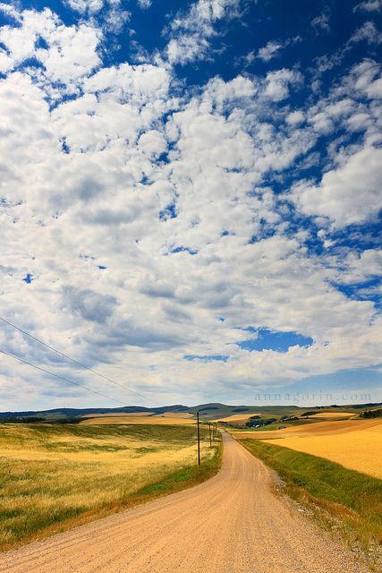 Landscaping Photography, Road Pictures, Dirt Roads, Road Photography, Wide Open Spaces, Beautiful Roads, Country Roads Take Me Home, Scenic Roads, Just Chilling