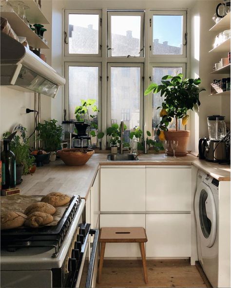 My Scandinavian Home, Lots Of Plants, Flat Interior, Flat Ideas, Small Flat, Apartment Inspiration, Scandinavian Home, Small Space Living, Apartment Design