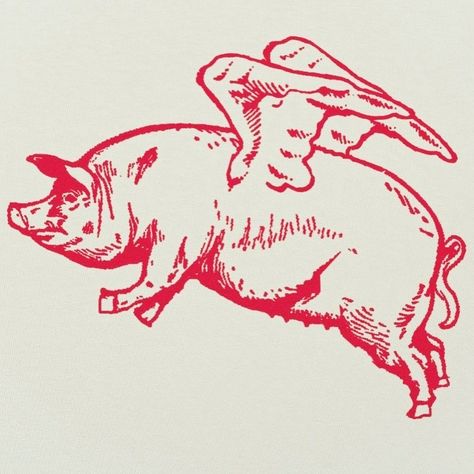 Flying Pig Tattoo, Pig Graphic, Pig Logo, Pig Tattoo, Bbq Pig, Flying Pigs, Back Drawing, Pig Drawing, Pig Illustration