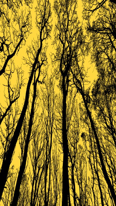 Yellow Evil Aesthetic, Creepy Yellow Aesthetic, Dark Yellow Aesthetic Wallpaper, Yellow Grunge Wallpaper, Yellow Aesthetic Grunge, Yellow Lockscreen, Yellow Goth, Yellowjackets Aesthetic, Trippy Vibe