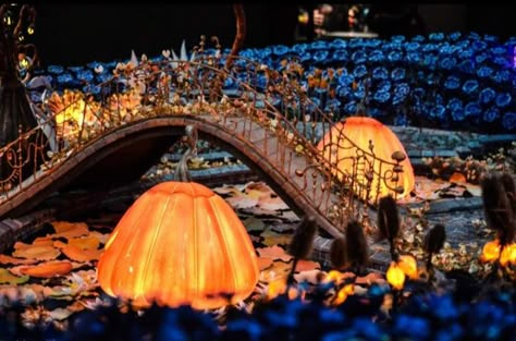 Bright orange pumpkins with blue flowers and a bridge Coraline Garden, Halloween Animation, Laika Studios, Coraline Aesthetic, Abandoned City, Pumpkin Garden, Coraline Doll, Pumpkin Contest, Coraline Jones