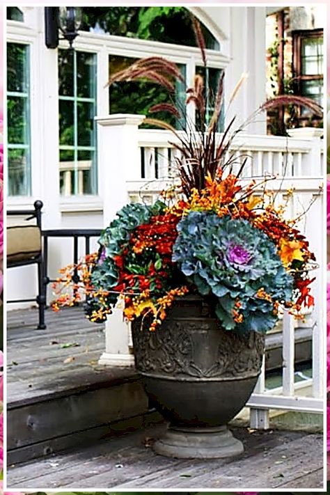 Fall Gardening Seeds - Want more information and details? Click to visit for more ideas. Fall Urn, Tall Pots, Fall Pots, Porch Pots, Winter Container Gardening, Fall Container Gardens, Fall Gardening, Ornamental Cabbage, Fall Containers