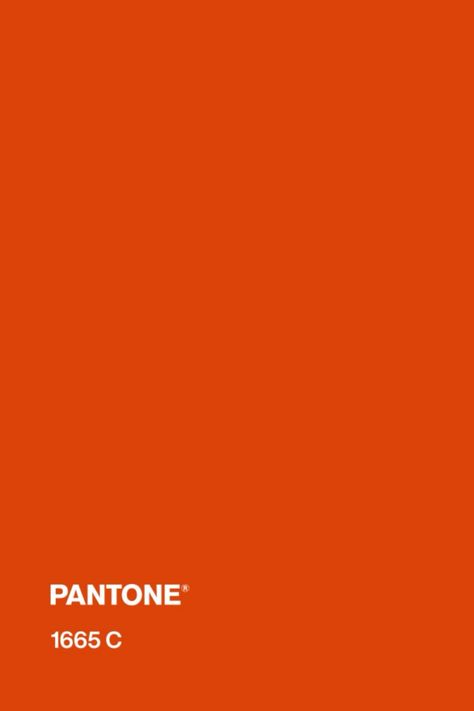 #pantone #orange #color #pantone1665c Pantone Colors Orange Shades, Pantone Rust Orange, Pantone Red Orange, Pantone Orange, Pantone Red, Renji Abarai, Red Orange Color, Bakery Design, Deep Orange