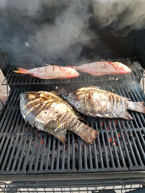 Grilled fish. Grilled Fish Aesthetic, Grilling Fish, Maine Trip, Grilled Fish Recipes, Man Cooking, How To Cook Fish, Wooden Fish, Video Shoot, Summer Grilling