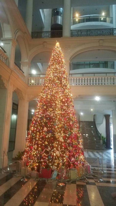 Christmas tree at Lonja del Comercio. #Havana #Cuba Cuban Christmas, Cuba Holiday, Black Christmas Trees, Havana Cuba, Black Christmas, Central America, Havana, Cuba, Hot Pink