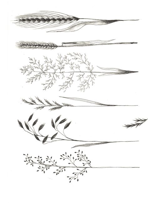 Pretty Vintage Tattoos, Greenery Filler Tattoo, Wild Grasses Tattoo, Wild Plant Tattoo, Cat Tail Tattoo Plant, Wild Flower Tattoo Stencil, Grasses Tattoos, Prairie Grass Tattoo, Vegetation Tattoo