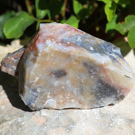 Raw Agate With Mesmerizing Detail & Color. Crystal Agate Raw, Rough, Dendritic, Plume Agate Stone. Starry Rainbow Quartz Gemstone! Sourced from Southern Utah. 4 x 3 x 1.5 inches & .70 pounds. This choice raw agate has rainbow colors in it! Its an exquisite centerpiece for any table, shelf, or Rock Identification Pictures, Rock Identification, Agate Rocks, Plume Agate, Table Shelf, Rainbow Quartz, Quartz Geode, Southern Utah, Rock Collection