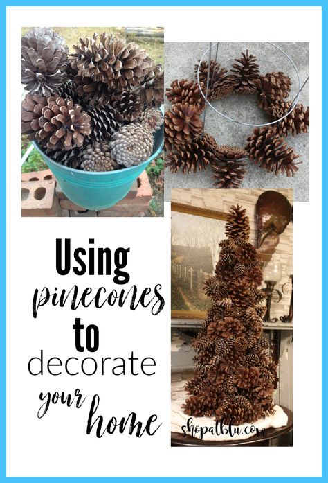 pinecone decor, fall, decorate with nature, pinecones, entryway, tabletop decor Pinecone Decor, Winter Wonderland Decorations, Thrift Store Decor, Winter Decorating, Outdoors Inside, Ideas For Decorating, Pine Cone Decorations, Holiday Pins, Budget Friendly Decor