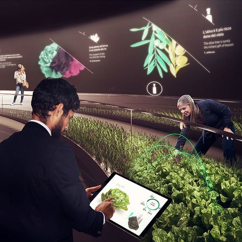 Collaborative Farming: Growing Own Organic Food at Tomorrow's Supermarkets Museum Exhibition Design, Interactive Museum, Interactive Exhibition, Pavilion Design, Vertical Farming, Exhibition Display, Science Museum, Future City, Organic Food