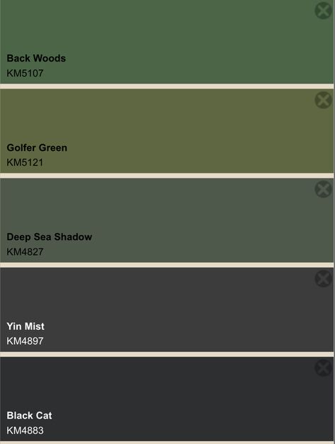 Grunge Colors Pallete, Fairy Grunge Colour Palette, Green Charcoal Color Palette, Grunge Color Palette Aesthetic, Fairy Grunge Color Pallete, Dark Green Pallet, Dark Academia Color Palette Green, Grunge Color Pallete, Green And Black Colour Palette