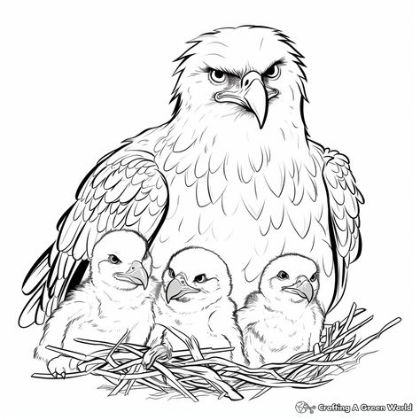 Eagle Coloring Pages Free Printable, Eagle Coloring Pages, Nest Art, Eagle Drawing, Kindergarten Coloring Pages, Eagle Pictures, Butterfly Plants, Green World, Diy Birthday Party