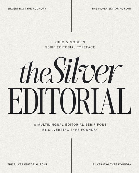 ✨ Guess what? The Silver Editorial Serif Font just claimed the 🥈 spot as my second most popular font across all platforms this August! 🎉 Can you guess which font took the 🥇 gold? Stay tuned for the big reveal tomorrow! 😉 #fonts #typography #design #creativemarket #augustfavorites #guessinggame Silver Editorial, Letterpress Font, Winter Fonts, Classy Fonts, Classic Fonts, Popular Fonts, Type Foundry, Font Pairing, Serif Typeface