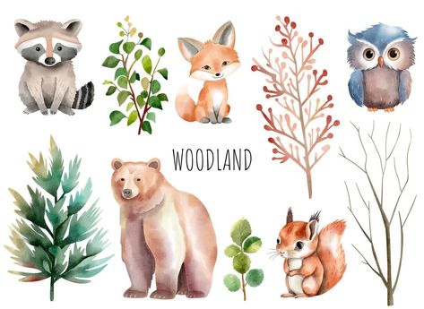 Set of wild watercolor forest animals. Woodland animals. Trees and plants. Bear, fox, squirrel, owl. Forest Animals Illustration, Wild Animals Vector, Forest Habitat, Fox Squirrel, Watercolor Forest, Animal Conservation, Animal Silhouette, Forest Animal, Forest Friends