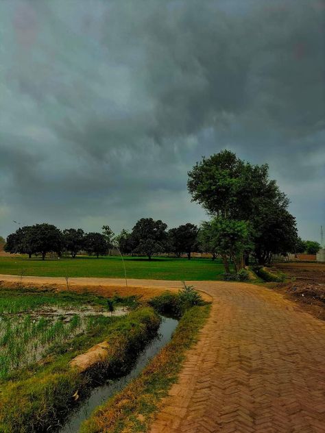 Colors of Punjab #Punjab #Pakistan #Village #Photography Pakistan Asthetic Pics, Punjab Village Photography, Pakistan Village, Punjab Village, Restaurant Mural, Cloudy Morning, Asthetic Pics, Punjab Pakistan, Village Photography