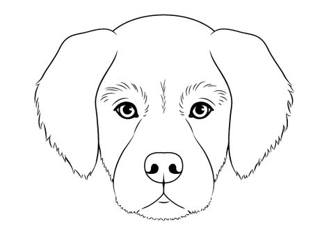 Easy Drawing Tutorials for Beginner & Intermediate Artists Dog Front View Drawing, How To Draw A Dog Face, Dog Eyes Drawing, Dog Head Drawing, Squished Face, Dog Drawing Reference, Draw Dog, Dog Face Drawing, Dog Drawing Tutorial