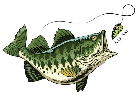 Bass Fish Drawing, Xmas Drawing, Fish Clipart, Fish Drawing, Bass Fish, Image Film, Largemouth Bass, Fishing Theme, Tattoo Design Drawings