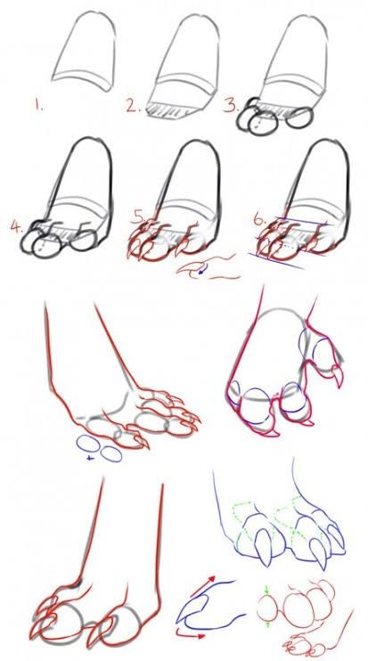 Anthro Feet Drawing Reference, How To Draw Anthro Paws, Bird Feet Drawing Reference, Anthro Body Base, Dragon Feet Reference, How To Draw Paws, Dragon Paws, Paw Tutorial, Paw Drawing